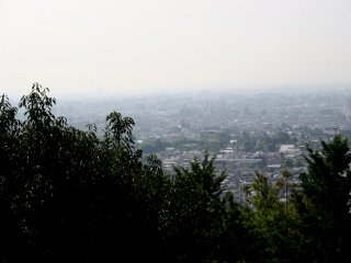 08