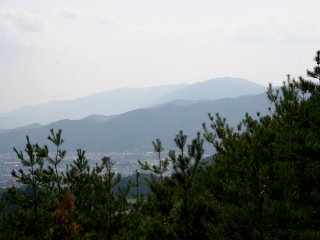 36